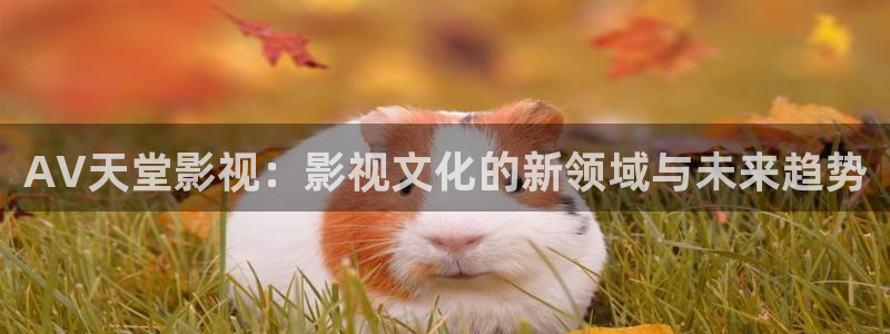 熊猫老师：AV天堂影视：影视文化的新领域与未来趋势