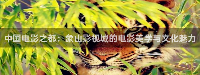 中电熊猫：中国电影之都：象山影视城的电影美学与文化魅力