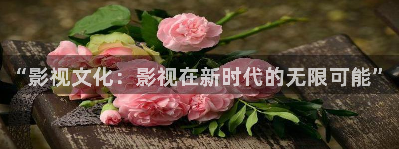 熊猫9.1电影免费播放：“影视文化：影视在新时代的无限可能”