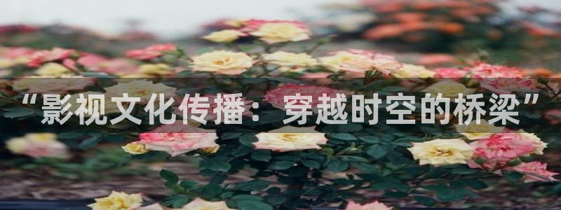 影视熊猫：“影视文化传播：穿越时空的桥梁”