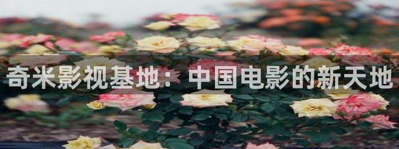 熊猫馆：奇米影视基地：中国电影的新天地