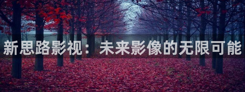 熊猫电影yy8y4：新思路影视：未来影像的无限可能