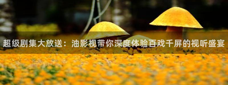熊猫影视网：超级剧集大放送：油影视带你深度体验百戏千屏的视听盛宴