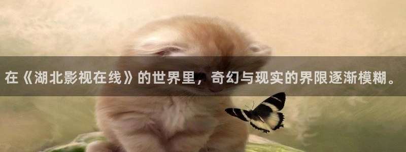 熊猫的：在《湖北影视在线》的世界里，奇幻与现实的界限逐渐模糊。