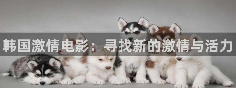 熊猫影院免费版下载：韩国激情电影：寻找新的激情与活力