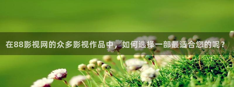 熊猫电影大全免费观看：在88影视网的众多影视作品中，如何选择一部最适合您的呢？