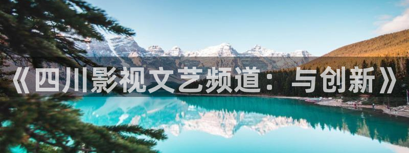 熊猫大侠电影在线观看：《四川影视文艺频道：与创新》