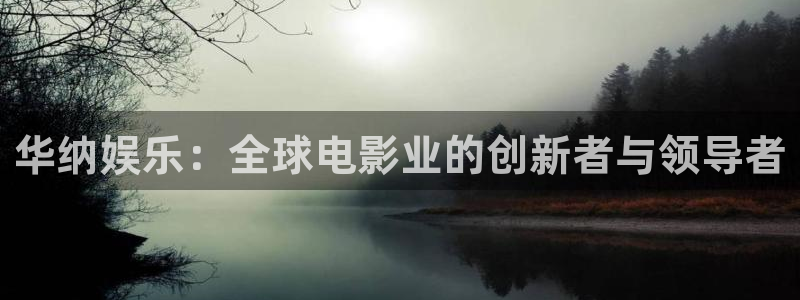 熊猫影片：华纳娱乐：全球电影业的创新者与领导者