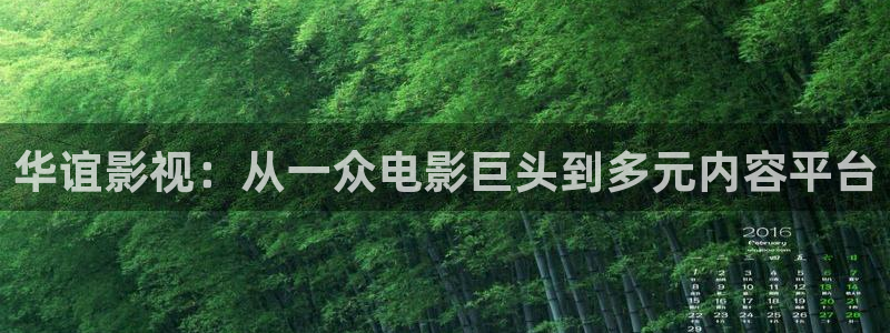 熊猫影视免费观看：华谊影视：从一众电影巨头到多元内容平台