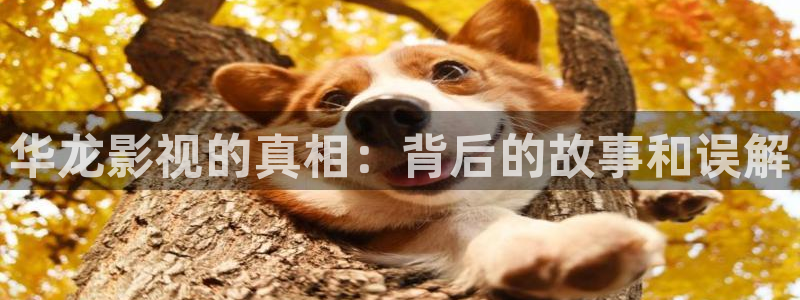 熊猫视频网站：华龙影视的真相：背后的故事和误解