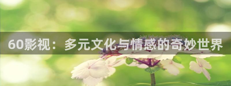 熊猫看电影：60影视：多元文化与情感的奇妙世界